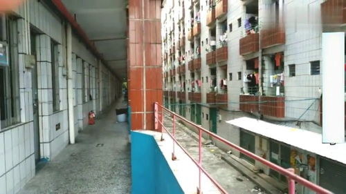 廣東東莞 來東莞玩具廠打工第一天,被分到16人一間的宿舍,這味道真酸爽