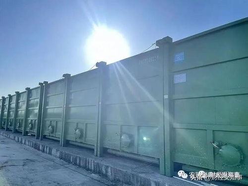 爭鳴 集裝箱養魚 他們搞垮實體經濟后盯上水產,誰在禍害我們的美食